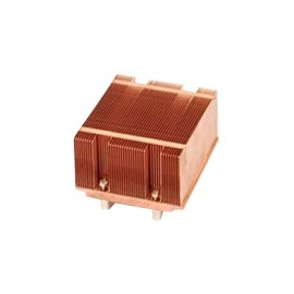SNK-P0010